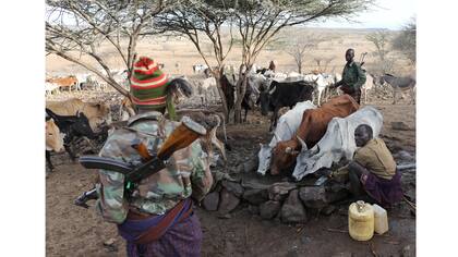 El ganado, el sustento de la tribu