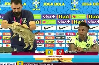 Un gato irrumpió en la conferencia de Brasil y la reacción del cuerpo técnico causó indignación