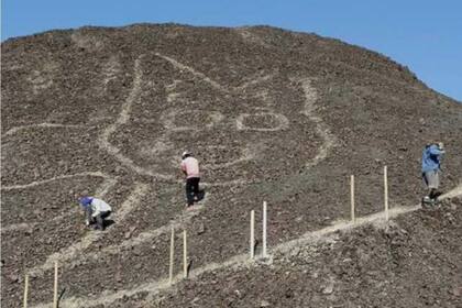 El gato, de 37 metros, fue realizado hace más de 2000 años en la época Paracas Tardío