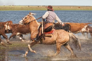 Martín Fierro: un análisis de una traducción al ruso