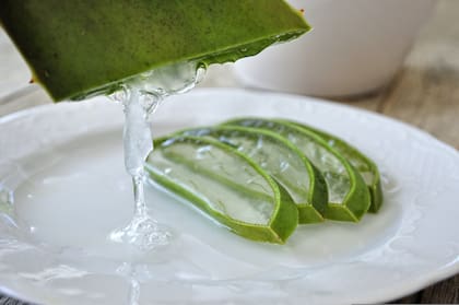 El gel de aloe vera es un hidratante natural para el cabello