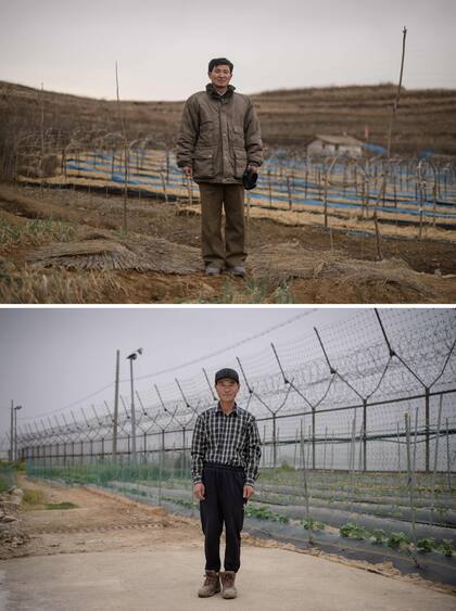 El gerente de la granja de ginseng Kim Young Guk (arriba) en un campo de ginseng en las afueras de Kaesong y el pequeño agricultor Hwang In-suk (abajo) ante la cerca de la zona desmilitarizada (DMZ ) y el horizonte de Corea del Norte en su patio trasero en la isla de Gyodong