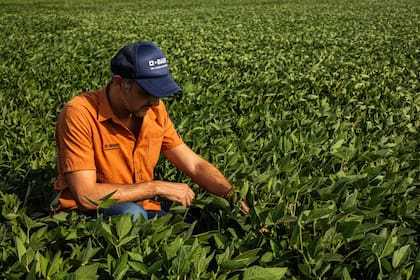El gigante químico BASF podría desprenderse de su división agrícola