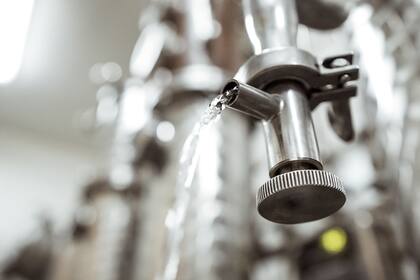 El gin ofrece cada vez más variedades, incluyendo versiones locales