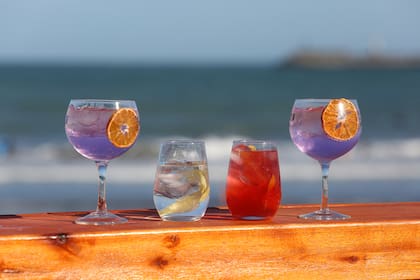 El gin ofrece como grandes ventajas su versatilidad y su facilidad de elaboración