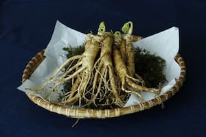 El ginseng puede convertirse en tu aliado del día a día