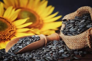 Fue récord la molienda de un cultivo cuyo aceite vive un boom de ventas