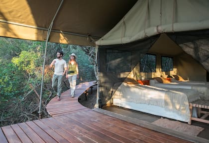 El glamping está rodeado de pasarelas elevadas de madera.