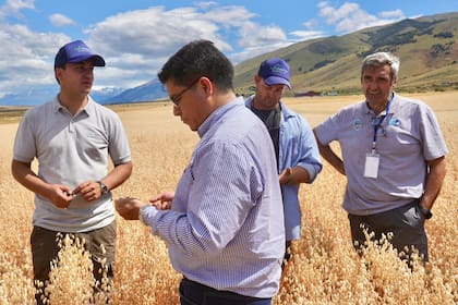 El gobernador Claudio Vidal , unto a Tomás Cirulanti, Ricardo Coggiola y Gustavo Sívori , presidente de Santa Cruz Puede en el campo