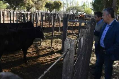 El gobernador Cornejo, al visitar una feria, destacó los avances para la ganadería