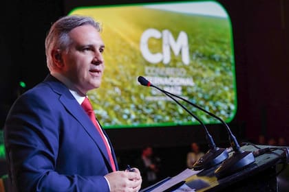 El gobernador de Córdoba, Martín Llaryora