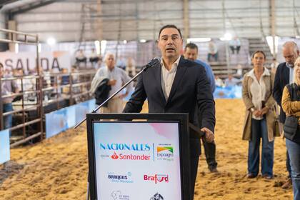 El gobernador de Corrientes, Gustavo Valdés