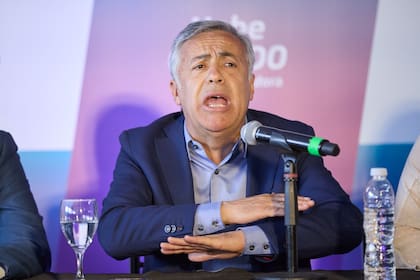 El gobernador electo de la provincia de Mendoza, Alfredo Cornejo
