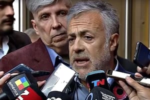 El gobernador electo por la provincia de Mendoza, Alfredo Cornejo