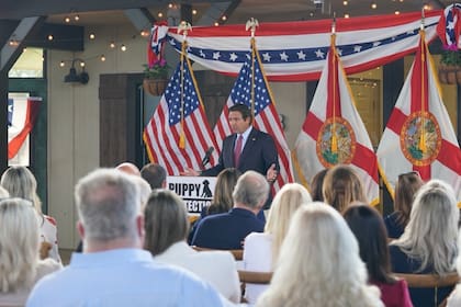 El gobernador Ron DeSantis presentó una iniciativa legislativa que busca modificar de raíz el funcionamiento de los comercios de mascotas