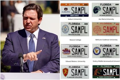 El gobernador Ron DeSantis promulgó recientemente la ley SB 246, la cual autoriza el lanzamiento de nuevas placas vehiculares especiales en el estado de Florida