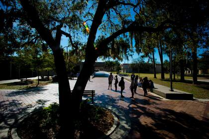 El gobernador Ron DeSantis realizó varias modificaciones en la currícula del New College of Florida; algunos alumnos se han convertido en sus opositores