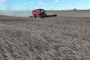 El Gobierno anunció la eliminación de las retenciones para todos los granos hasta el 31 de octubre