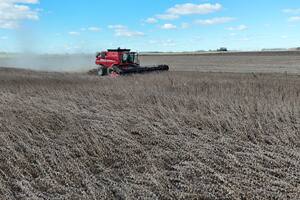 El Gobierno anunció la eliminación de las retenciones para todos los granos hasta el 31 de octubre