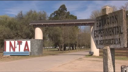 El Gobierno busca poner en funcionamiento un plan de achique en el INTA