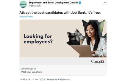El gobierno de Canadá puso en marcha una herramienta para buscar trabajo