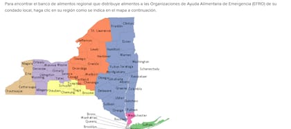 El gobierno de Nueva York entregará fondos estatales para la repartición de más de 16 millones de comidas en todo el estado (Health NY)