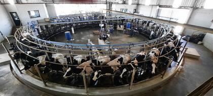 El gobierno de Santa Fe señaló que refuerza la lechería con financiamiento, infraestructura y apertura de mercados