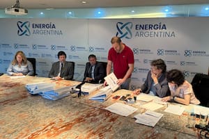 El Gobierno dio inicio al proceso de privatización de Enarsa