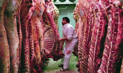 Argentina es uno los mayores exportadores de carne de vacuna, vende afuera el 27% de lo que produce y tiene un consumo de 51 kilos por persona por año.