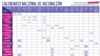 El Gobierno garantizó que se cumplirá el calendario oficial de vacunas
