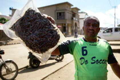 El gobierno ha tratado de evitar la práctica de empacar la vainilla al vacío
