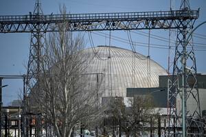 El Gobierno inició el proceso de privatización de Nucleoeléctrica Argentina