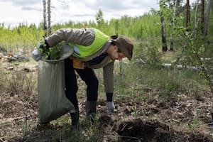 Qué dice el proyecto del compromiso de las provincias argentinas de avanzar en la explotación de recursos naturales del país