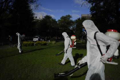 El Gobierno porteño dispuso equipos de fumigación para combatir el dengue en medio de un aumento de casos.