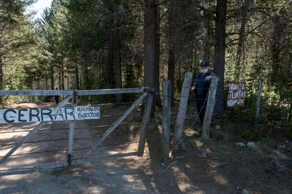 La policía de Río Negro custodia el predio