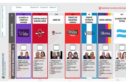 El Gobierno se encuentra "metido en una trampa" por la implementación de la boleta única de papel