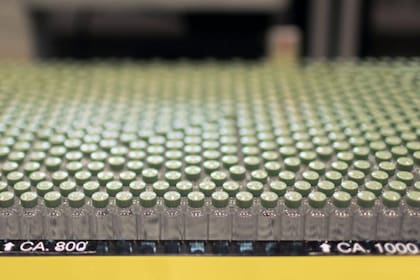 El gobierno también está intentando moderar el entusiasmo desmedido