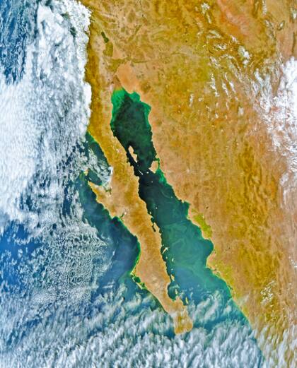 El golfo de California, según la óptica del satélite