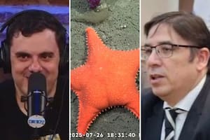 El Gordo Dan y Alejandro Álvarez, contra el streaming del Conicet