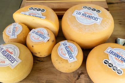 El gouda de Los Holandeses es artesanal y excelente