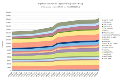 El gráfico muestra la evolución de los yerbales en Misiones y Corrientes, entre 2019 y 2024