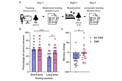 El gráfico que acompaña el trabajo presentado por los investigadores argentinos.