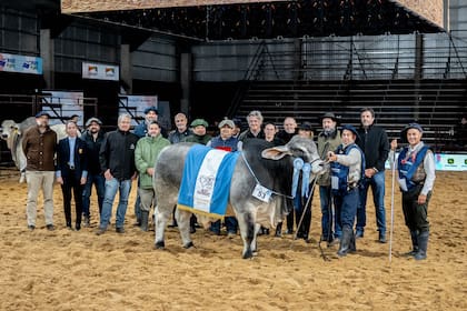El Gran Campeón Macho