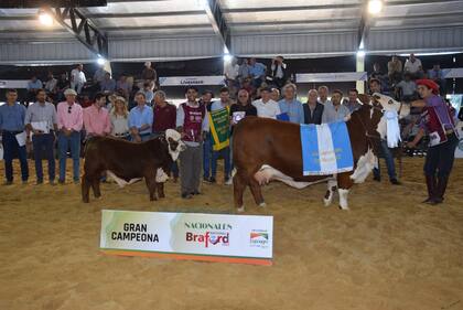 El Gran Campeón Hembra Braford