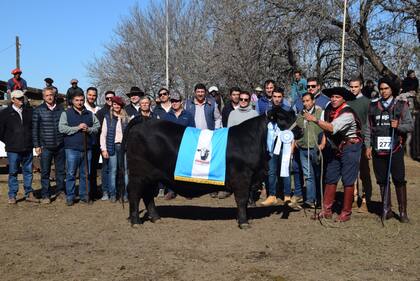 El Gran Campeón Hembra Brangus en la pista de jura