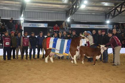 El Gran Campeón Hembra fue para el box 205, una vaca con cría presentada por las cabañas Laguna Limpia y Los Orígenes, ambas de la provincia de Corrientes. Se trata de un ejemplar que había ganado la categoría Vaca, hija de “Midas” y con una cría al pie