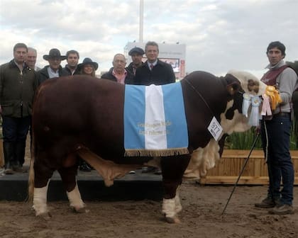 El Gran Campeón Macho Braford, de Shonko SA, con autoridades y cabañeros