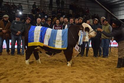 El Gran Campeón Macho, de Cabaña Santa Irene