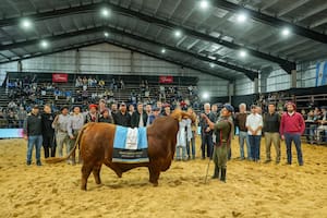 Los máximos premios fueron para cabañas de Chaco y Entre Ríos
