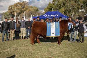 Se eligieron los Grandes Campeones de Primavera de la raza Angus